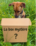 La box mystère